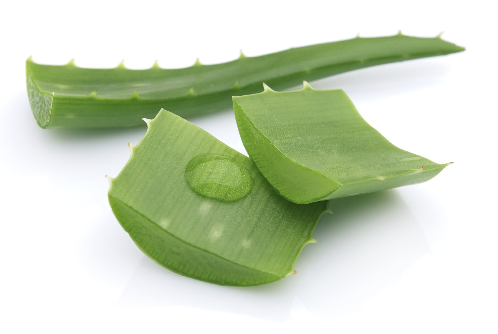 Aloe Vera – Health amp; Beauty Benefits