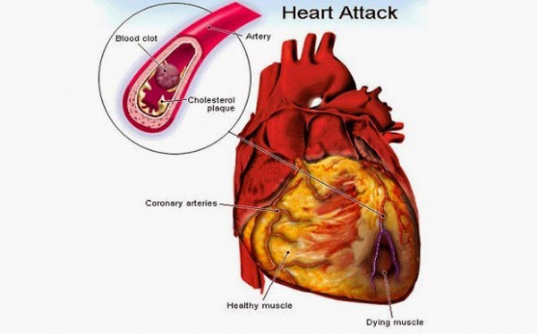 see-what-happens-when-you-drink-water-on-an-empty-stomach